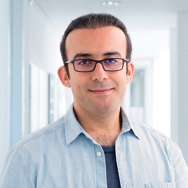 Ph.D. (Univ.Asiut) Payam Teimourzadeh Baboli